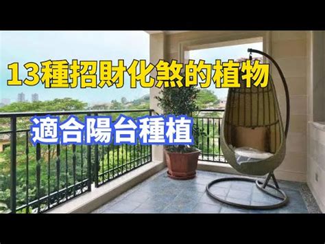 植物風水禁忌|【風水特輯】以為空氣好清新？家中擺錯植物恐招陰！。